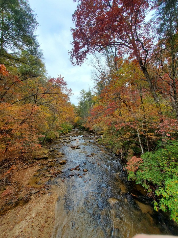 Fall Day Trip in South Carolina