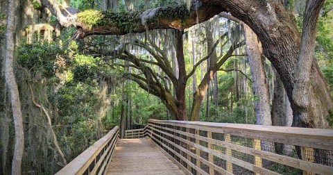 The South Carolina Park Worth Driving Across The State To Explore