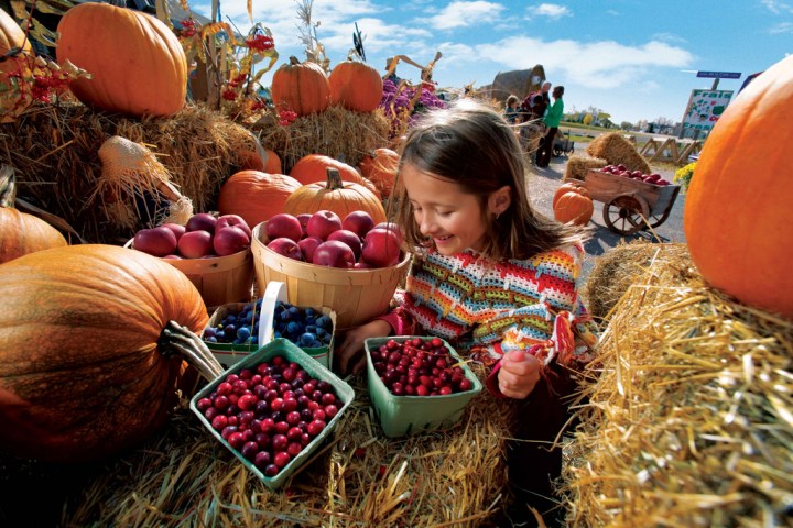 A smiling little girl surrounded by fresh produce.