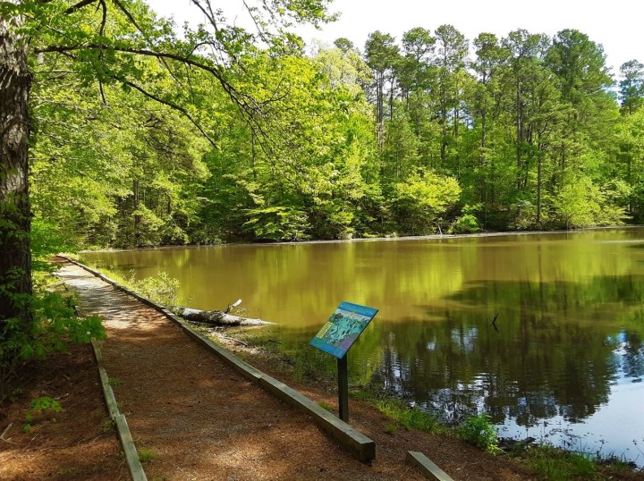 remote state park in Arkansas