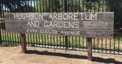 Explore The Little-Known Arboretum In This Small Northern California Country Town