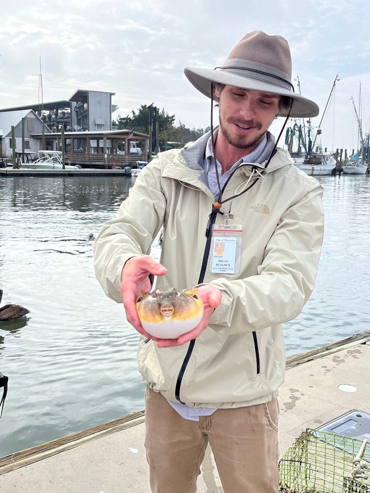 Shem Creek Tour in South Carolina