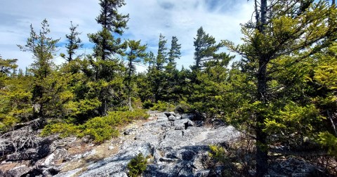 The Rugged And Remote Hiking Trail In West Virginia That Is Well-Worth The Effort