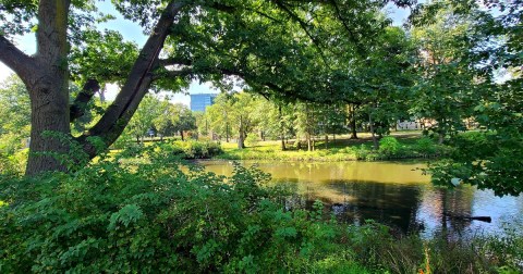 Before Word Gets Out, Visit Massachusetts Newest Urban Walking Trail