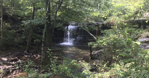 The 2.3-Mile Laurel Falls & Lost Falls Trail Loop Might Just Be The Most Enchanting Hike In Alabama