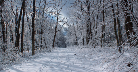 You Might Be Surprised To Hear The Predictions About Pennsylvania's Cold, Snowy, And Slushy Upcoming Winter