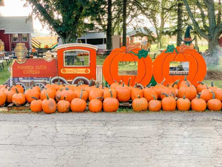 pumpkin patches near Chicago