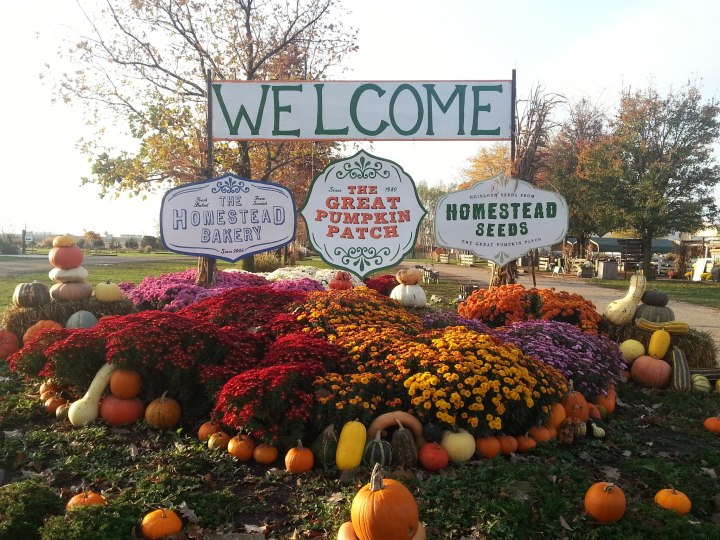 largest pumpkin patch in Illinois