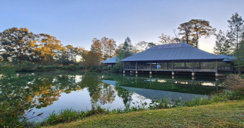 Explore A Little-Known Arboretum In This Louisiana Town