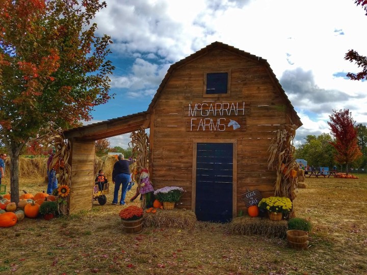 largest pumpkin patch in Arkansas