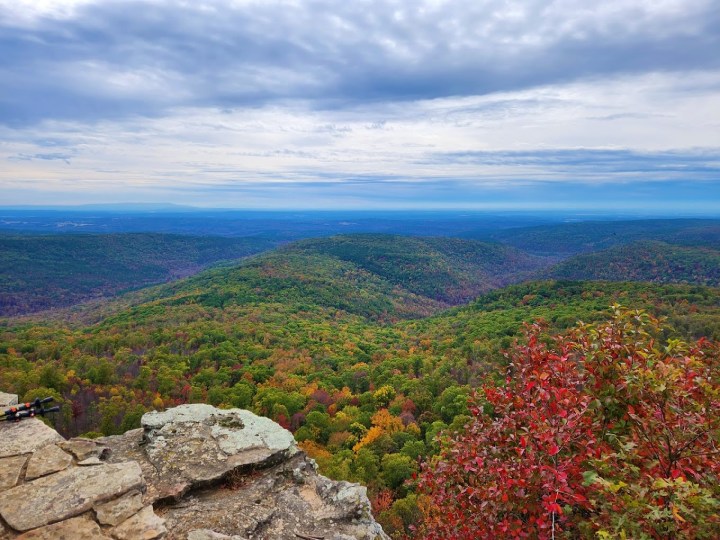 Arkansas autumn town