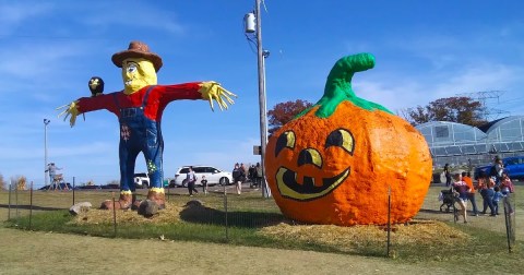 Here Are The 7 Absolute Best Pumpkin Patches In Minnesota To Enjoy In 2023