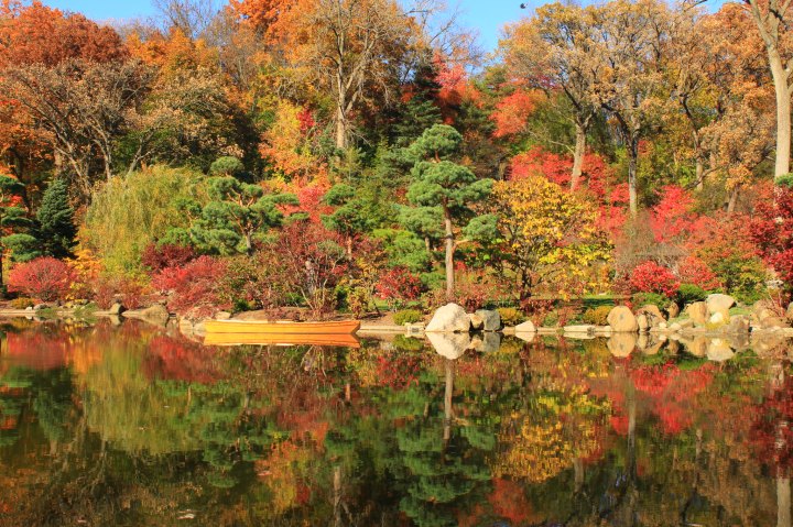 when do leaves change color in Illinois