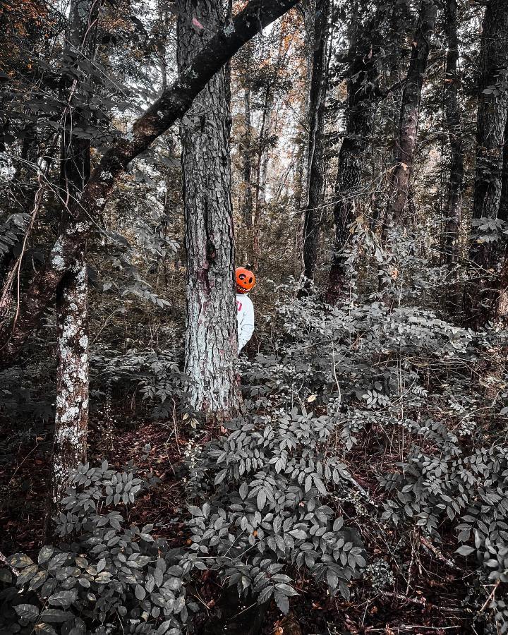 A figure with a pumpkin head peaks from behind a tree.