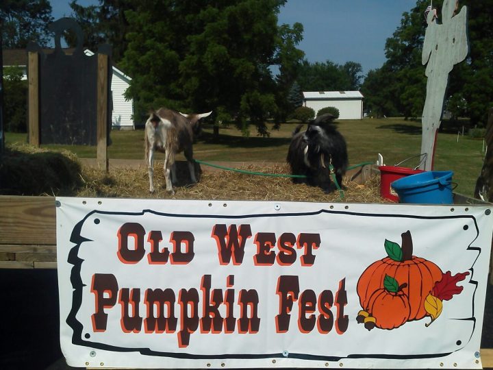 Two animals stand behind a banner that reads Old West Pumpkin Fest