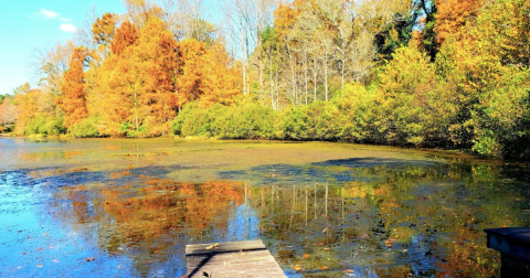 Here Are The Best Times And Places To View Mississippi's Fall Foliage In 2023