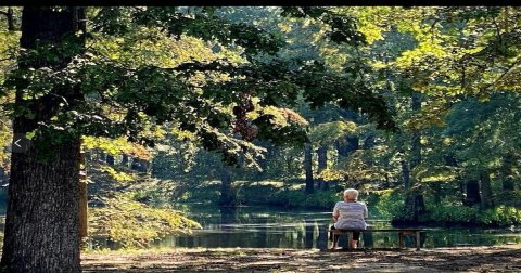 The Small Town In Louisiana That Comes Alive In The Fall Season