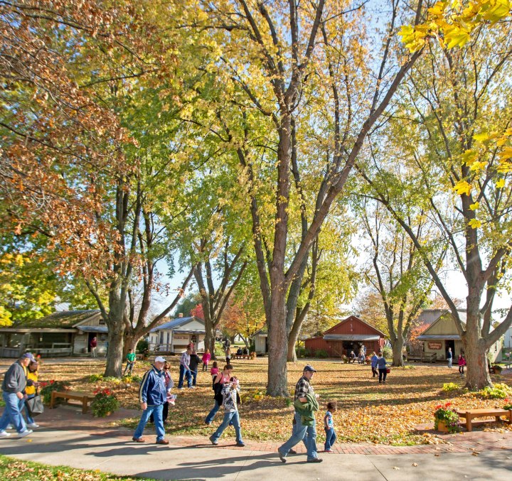 People walk through a small village surrounded by tall tress.