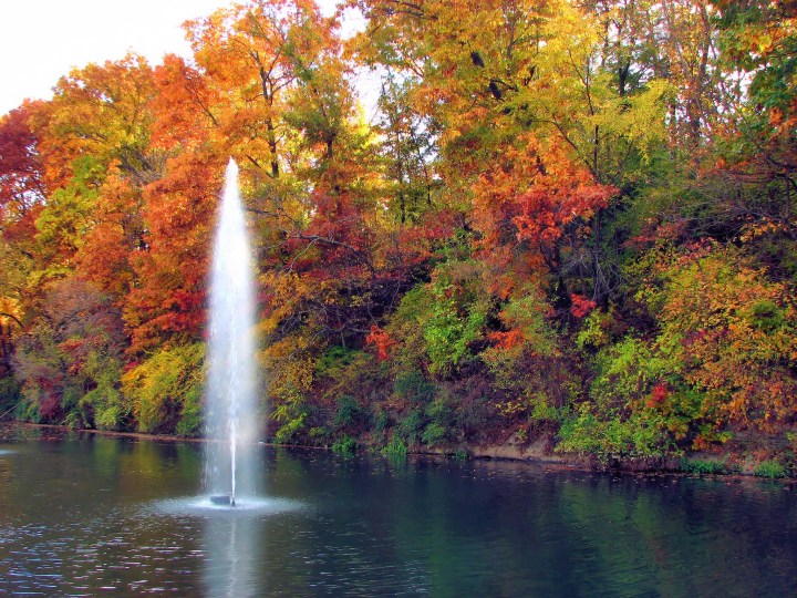 When Do Leaves Change Color In Arkansas