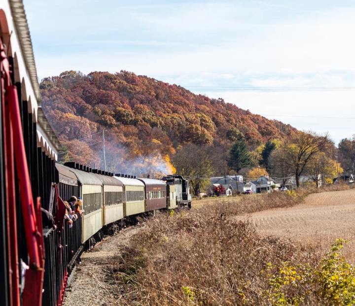 A train runs through beautiful fall foliage.