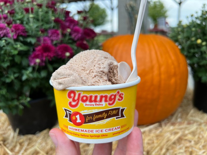 A hand holding up a cup of ice cream with a pumpkin in the background.