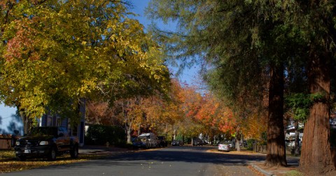 Here Are The Best Times And Places To View Northern California’s Fall Foliage In 2023