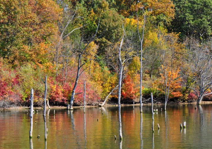 Fall in Illinois