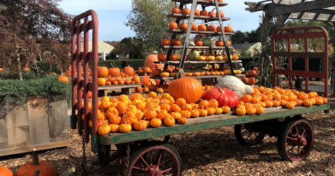 The Small-Town Harvest Festival In Rhode Island Belongs On Your Autumn Bucket List