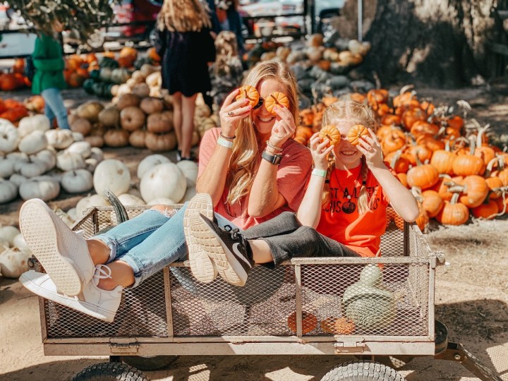 best pumpkin patches in Arkansas