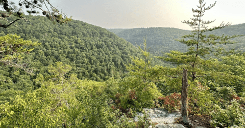 The 25-Mile Cumberland Trail Might Just Be The Most Enchanting Hike In Tennessee