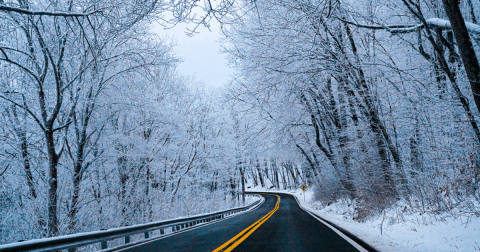 Your Ultimate Guide To Winter Attractions And Activities In Tennessee