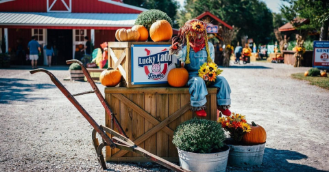 The 10 Best Fall Festivals In Tennessee For 2023 Will Put You In The Autumnal Spirit