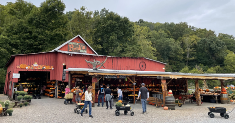 Here Are The 10 Absolute Best Pumpkin Patches In Tennessee To Enjoy In 2023