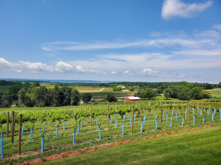 Private getaways near Traverse City