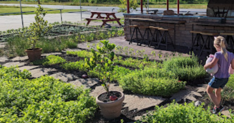 The Best Farm To Table Food In Michigan Is Hiding Far Away From Any Big City, But It's So Worth The Effort