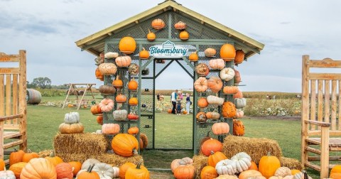 Here Are The 7 Absolute Best Pumpkin Patches In Iowa To Enjoy In 2023