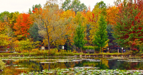 The Train Ride Through The Greater Cleveland Countryside That Shows Off Fall Foliage