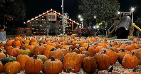 Here Are The 9 Absolute Best Pumpkin Patches In Utah To Enjoy In 2023