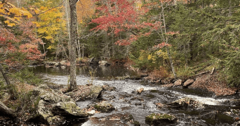 The 1.4-Mile Patten Stream Trail Might Just Be The Most Enchanting Hike In Maine