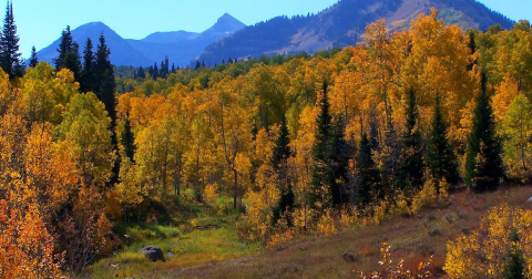 The Small Town In Utah That Comes Alive In The Fall Season