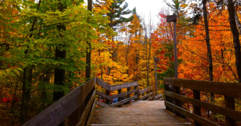 The Small State Park Where You Can View The Best Fall Foliage In Michigan