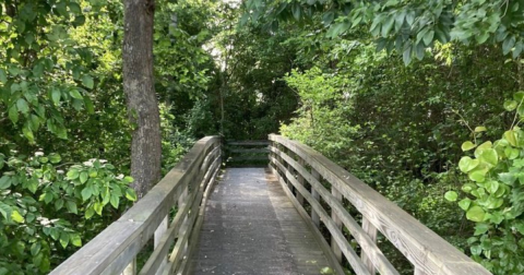 Enjoy An Unexpectedly Magical Hike On This Little-Known Trail In Virginia