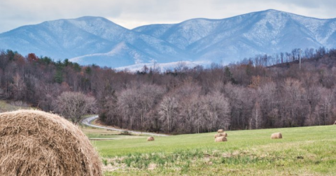 You Might Be Surprised To Hear The Predictions About Virginia's Damp And Cold Upcoming Winter