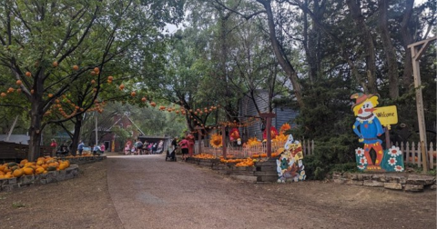 The Largest Pumpkin Patch In Nebraska Is A Must-Visit Day Trip This Fall