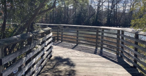 The Hidden Bluebird Trail In Virginia Meanders Peacefully Through A Nature Preserve