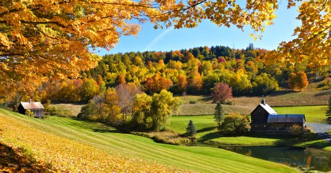 An Incredibly Popular Fall Foliage Destination In Vermont Has Banned Tourists From Visiting