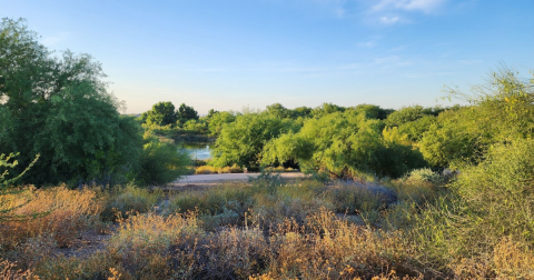 The Easy Trail That Might As Well Be The Lake Capital Of Arizona