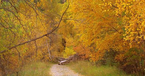 Here Are The Best Times And Places To View South Dakota's Fall Foliage In 2023