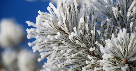 You Might Be Surprised To Hear The Predictions About North Dakota's Damp And Cold Upcoming Winter