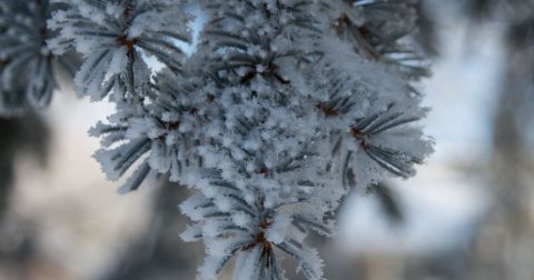 You Might Be Surprised To Hear The Predictions About South Dakota's Damp and Cold Upcoming Winter